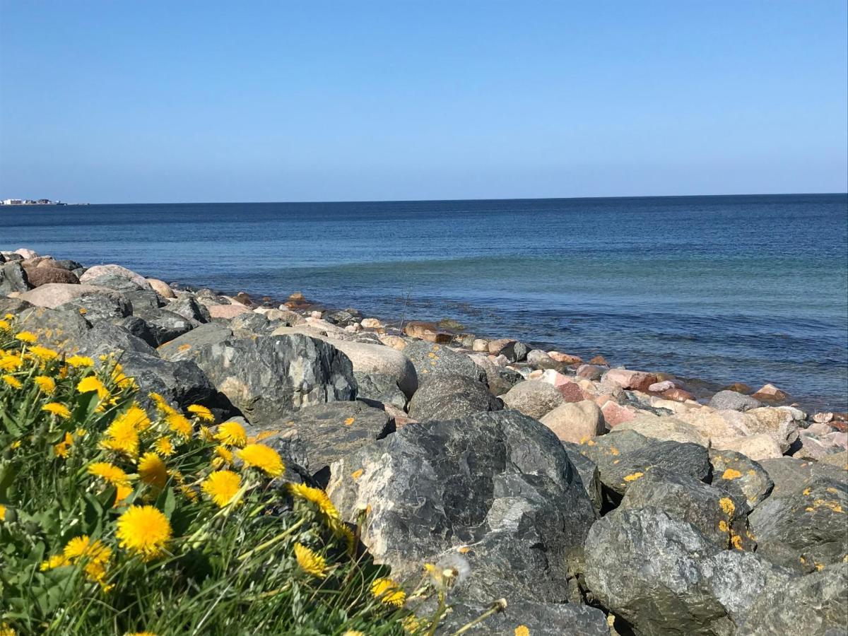 Strandlaeufer Schönhagen Dış mekan fotoğraf